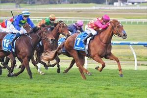 Sparkling, Sandown 14 August 2024 Sparkling, Sandown 14 August 2024